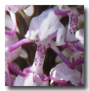 DGPV dissesti di versante